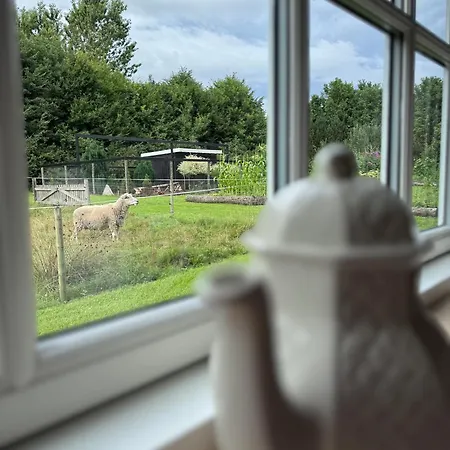 Laerkelill Bed and breakfast Skovlund