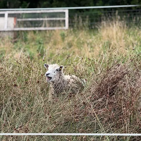 Laerkelill Bed and breakfast Skovlund